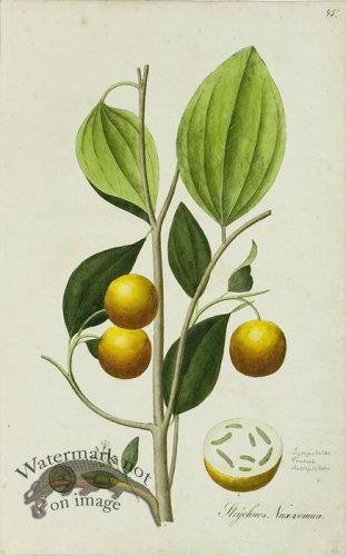 (image for) 1828_Gmp 036