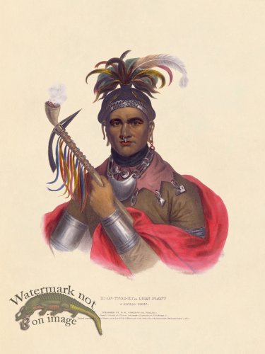 (image for) Ki-on-twog-ky Seneca