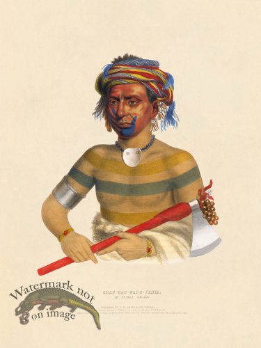 (image for) Shau-hau-napo-tinia Ioway