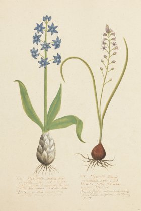 (image for) Blomboken 012