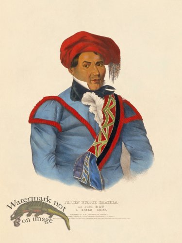 (image for) Jim Boy Creek