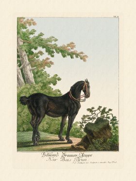 (image for) Ridingers Horses 14