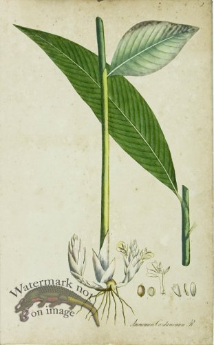 (image for) 1828_Gmp 025