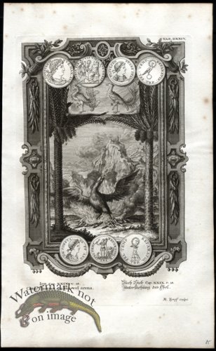 (image for) Scheuchzer 16