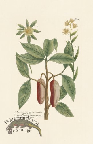 (image for) Weinmann PL 424