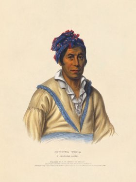 Spring Frog Cherokee