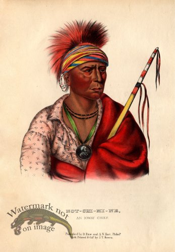 (image for) Not-Chi-Mi-Ne