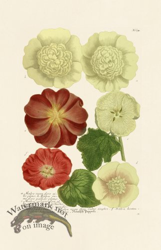 (image for) Weinmann PL 694