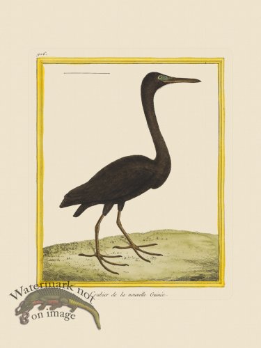 (image for) Martinet Bird 926