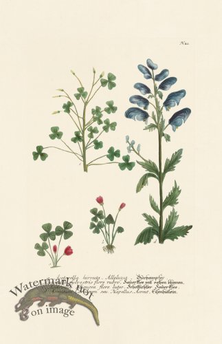 (image for) Weinmann PL 021