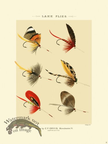 (image for) Favorite Flies 08 Lake