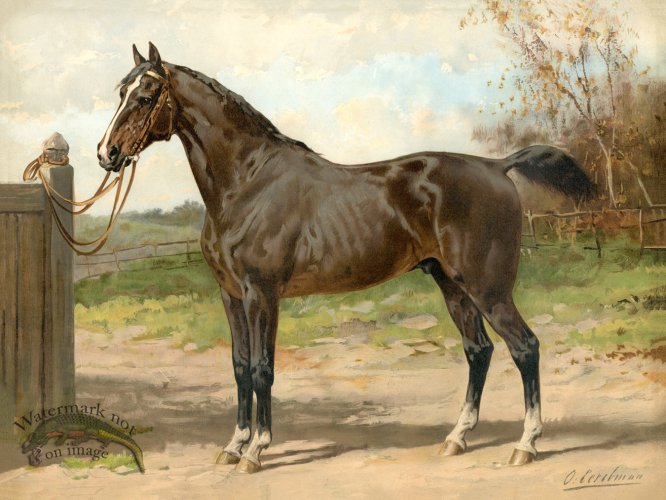 (image for) Hunter by Eerelman