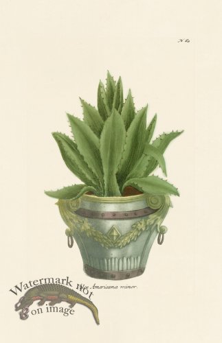 (image for) Weinmann PL 063