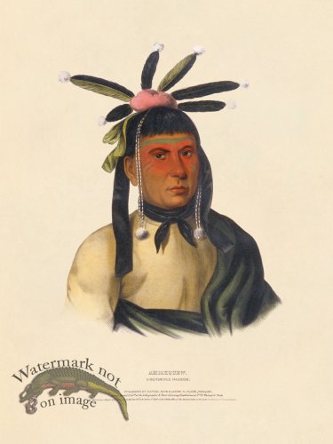 (image for) Amiskquew Menominie