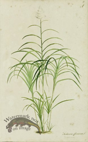 (image for) 1828_Gmp 049