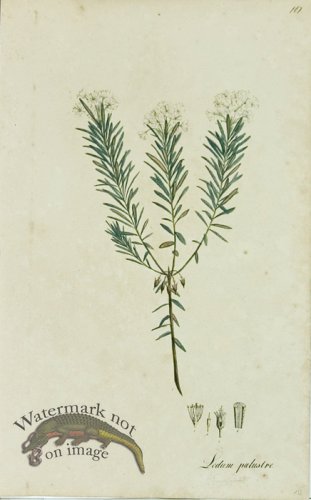 (image for) 1828_Gmp 094