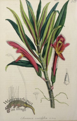 (image for) Houtteano_Bot_042