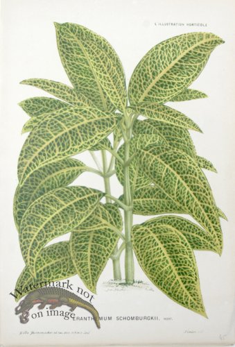 (image for) Horticult LP 07