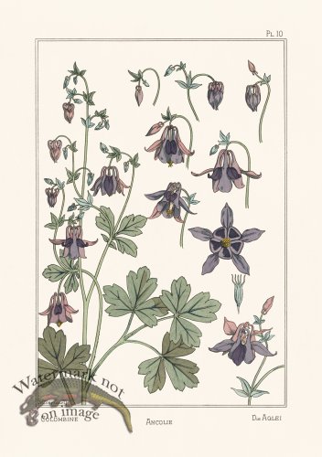 (image for) Le Plante 10