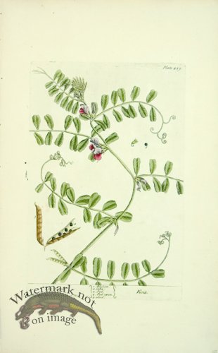 (image for) Blackwell E 46