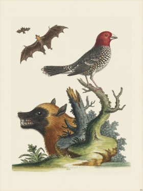 Edwards 180 Sparrow of Paradife