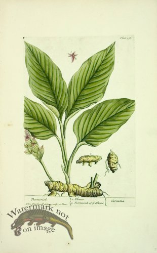 (image for) Blackwell E 06