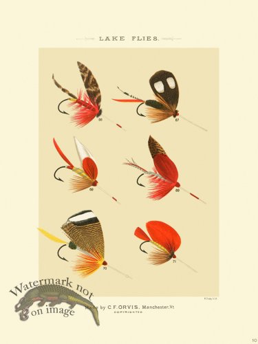 (image for) Favorite Flies 10 Lake