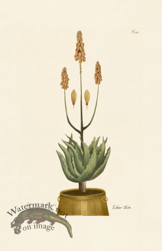 (image for) Weinmann PL 043