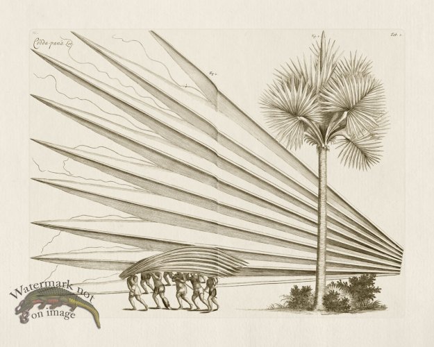 (image for) HORTUS VOl 03 02