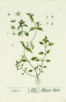 Blackwell German 142