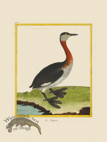 (image for) Martinet Bird 931