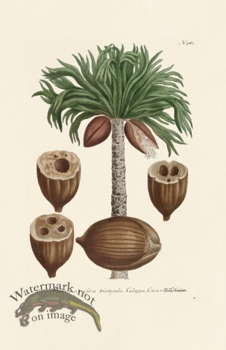 (image for) Weinmann PL 782