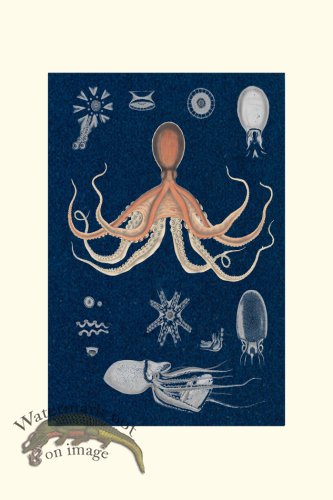 (image for) Underwater 22