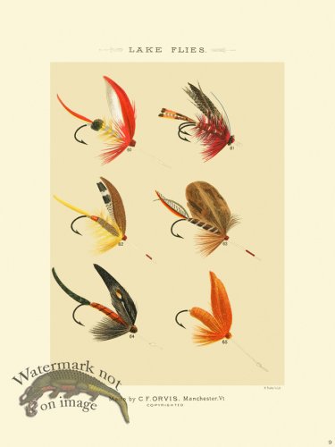 (image for) Favorite Flies 09 Lake