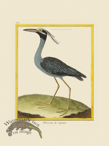 (image for) Martinet Bird 899