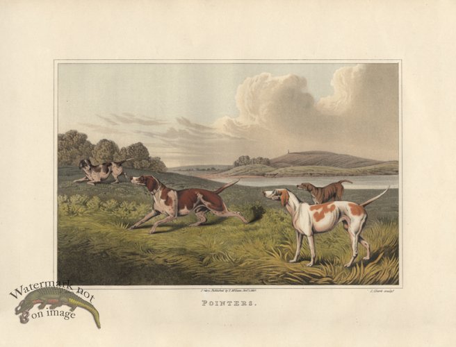 (image for) Pointers