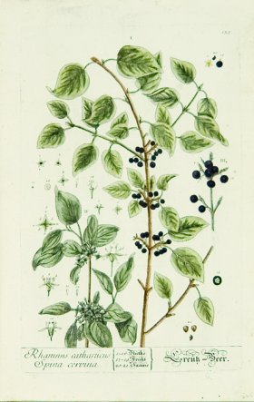 Blackwell German 078