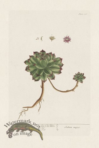 (image for) BEE 366 HouseLeak