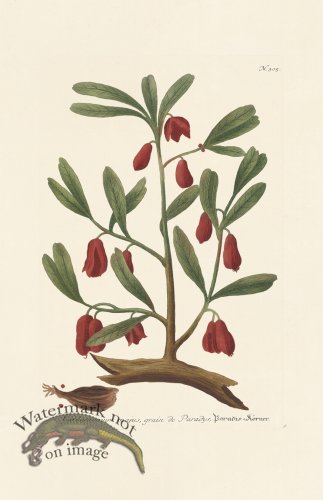 (image for) Weinmann PL 305