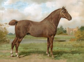 (image for) Hackney Horse by Eerelman