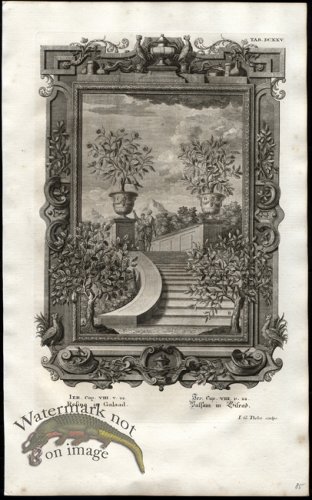 (image for) Scheuchzer 04