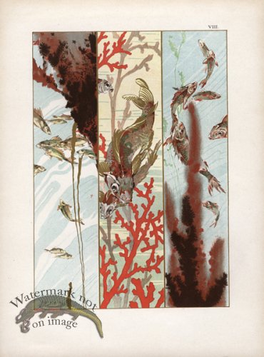 (image for) Gold Leaf Fish