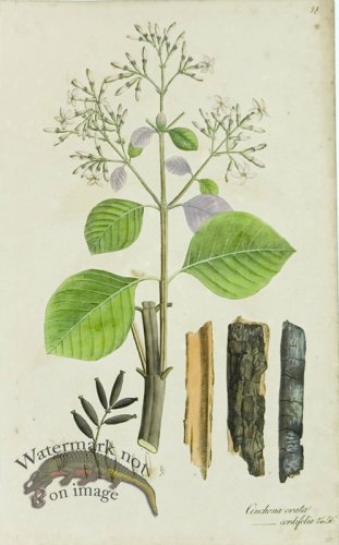 (image for) 1828_Gmp 042