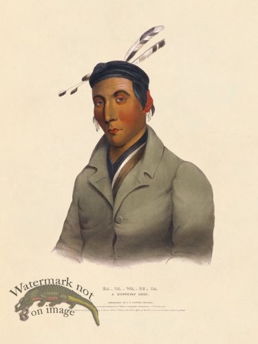 (image for) Ka-ta-wa-be-da Chippeway