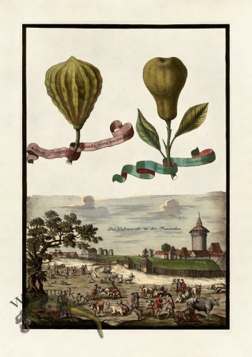 (image for) Volckamer 059