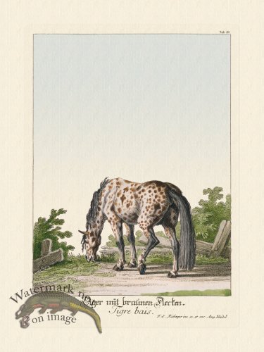 (image for) Ridingers Horses 50