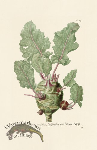 (image for) Weinmann PL 264