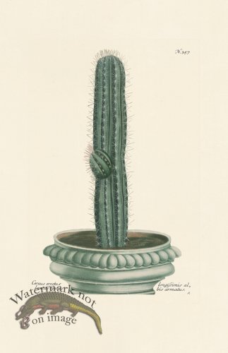 (image for) Weinmann PL 357