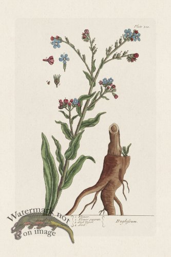 (image for) BEE 500 Bug lofs