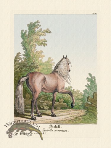 (image for) Ridingers Horses 40